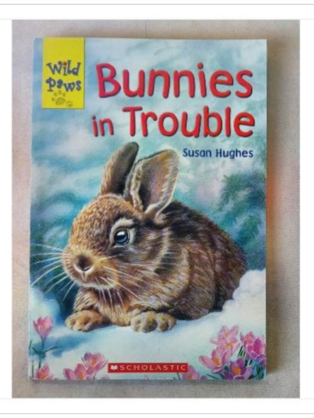 Bunnies in Trouble Susan Hughes 2004 Paperback Book Vintage Novel Read Classic